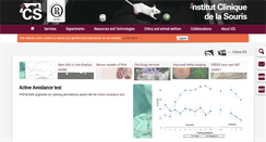 Desktop Screenshot of ics-mci.fr